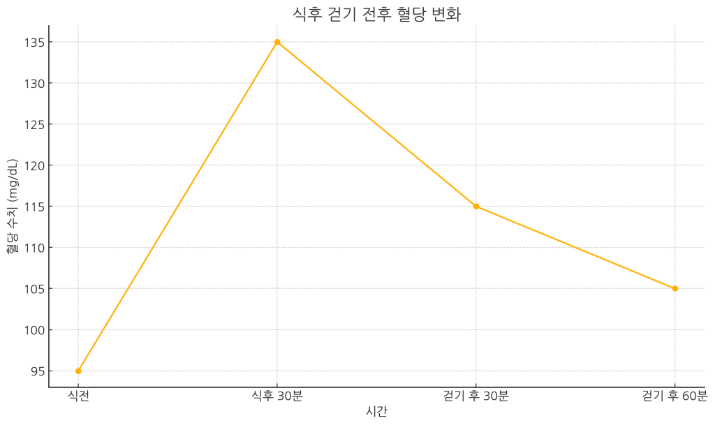 식후 운동, 걷기 괜찮을까?